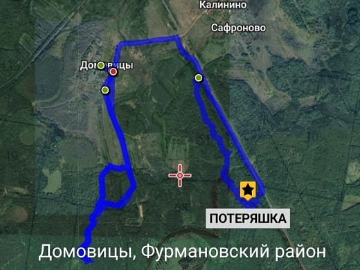 Ивановские поисковики и пес Талисман вывели из леса двух потеряшек